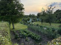 Działka rod Dzierżoniów. Zdjęcie 3