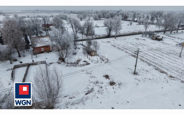 Działka rolna Markusy. Zdjęcie 5