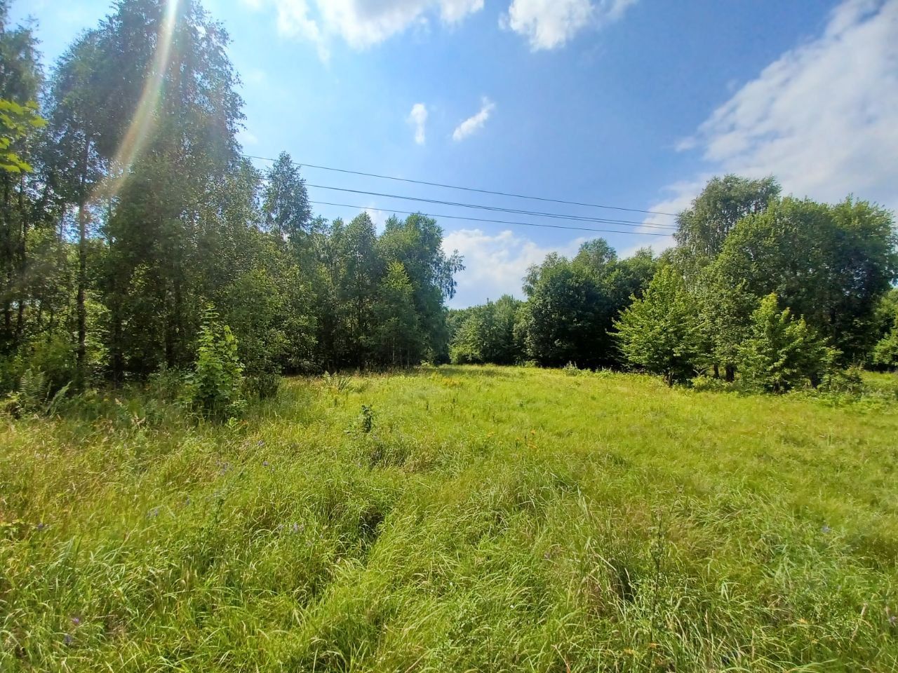 Działka budowlana Kołtki. Zdjęcie 11