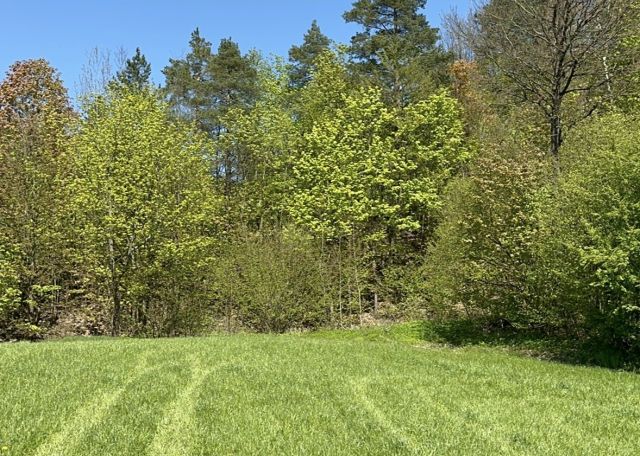 Działka budowlana Glaznoty. Zdjęcie 11