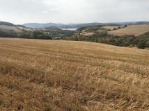 Działka rolna Lipie. Zdjęcie 3