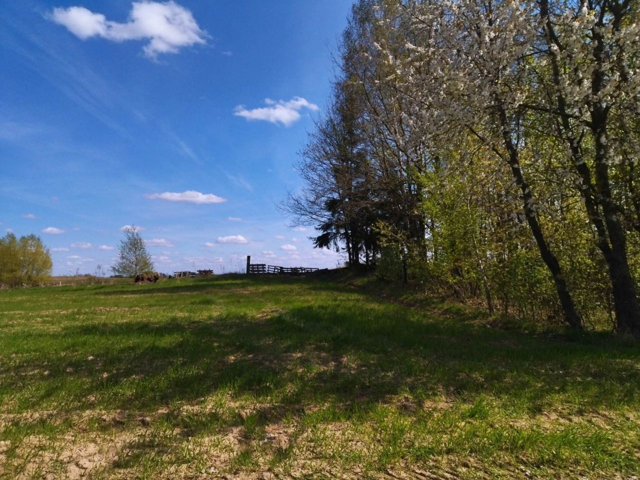 Działka budowlana Łączno. Zdjęcie 11