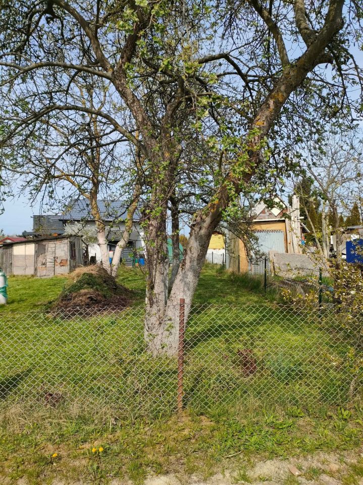 Działka rod Szczecin Bukowo, ul. Szosa Polska. Zdjęcie 7