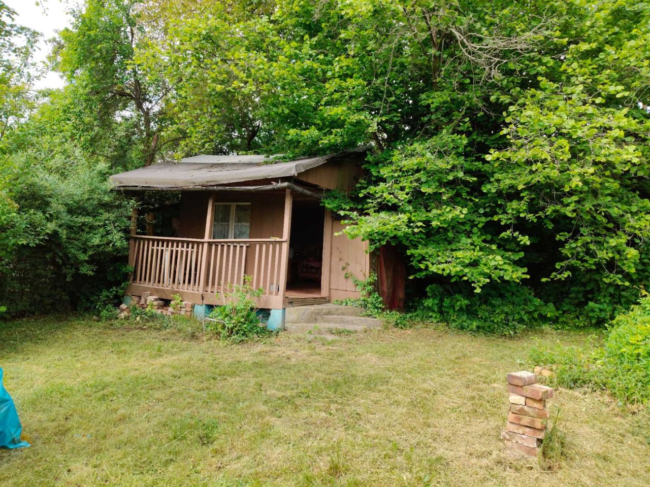 Działka rod Zielona Góra, ul. Ptasia