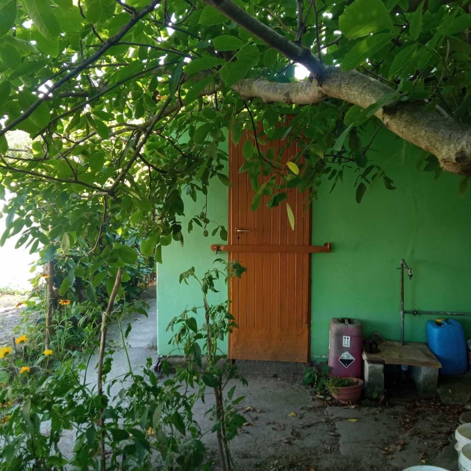 Działka rod Ciechanów. Zdjęcie 4