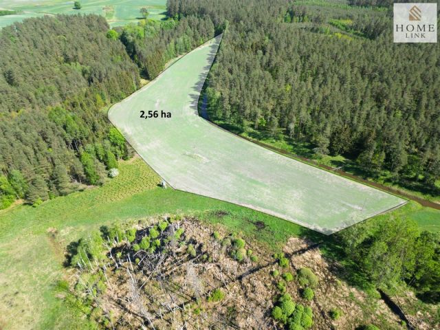 Działka rolna Elgnówko. Zdjęcie 2