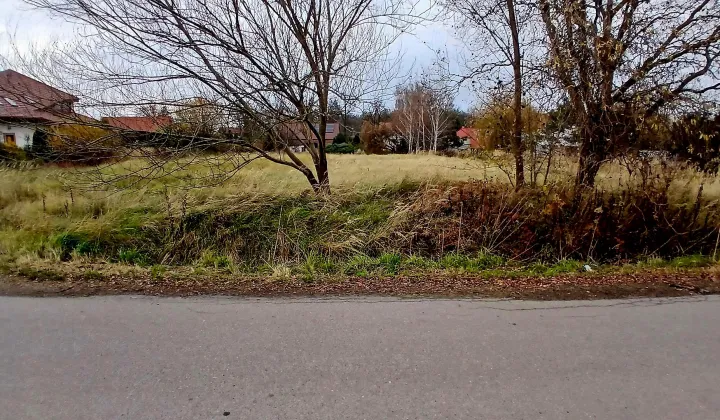 Działka budowlana Brzezina, ul. Willowa