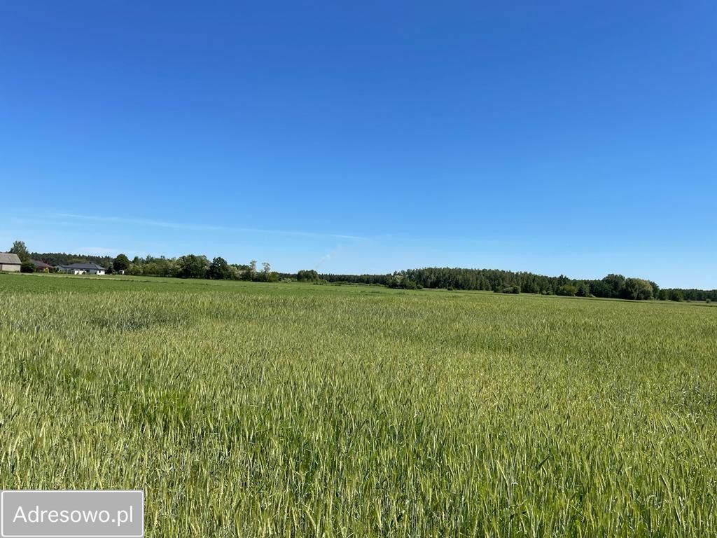 Działka Brudzeń Duży. Zdjęcie 2