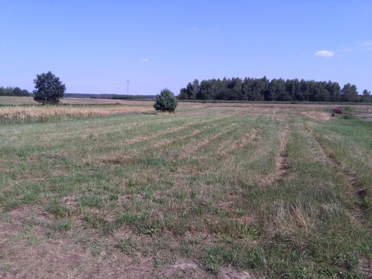 gospodarstwo, 2 pokoje Ślęzaki Borek. Zdjęcie 6