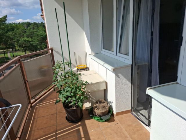 Mieszkanie 2-pokojowe Bydgoszcz, ul. Sochaczewska. Zdjęcie 1