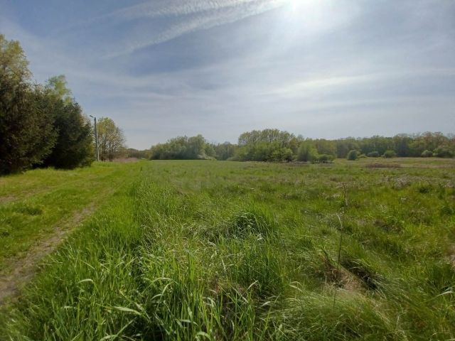 Działka rolna Gliniany. Zdjęcie 1