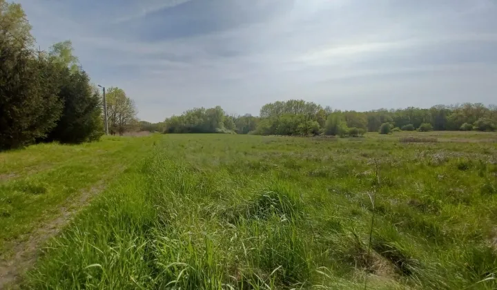 Działka rolna Gliniany