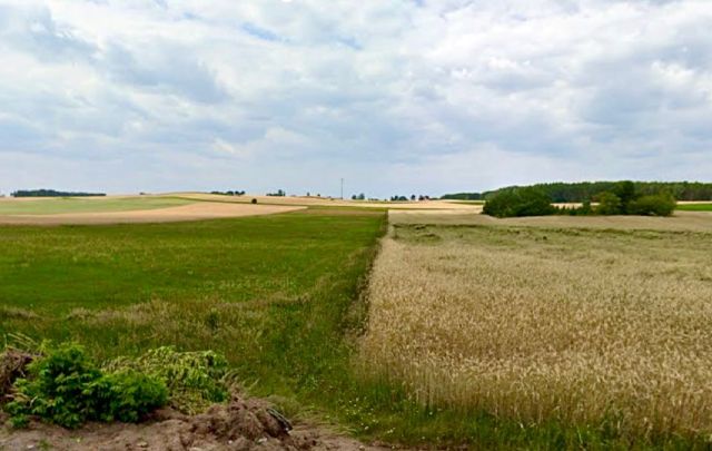 Działka budowlana Stary Gromadzyn. Zdjęcie 1