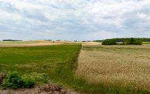 Działka budowlana Stary Gromadzyn