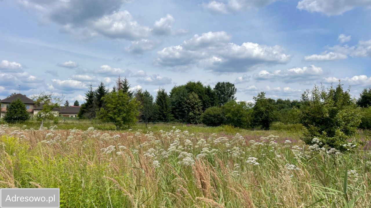 Działka budowlana Żarki, ul. Zawiszy. Zdjęcie 5