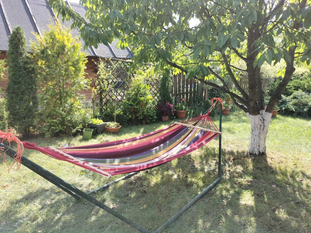 Działka rod Warszawa Mokotów. Zdjęcie 5