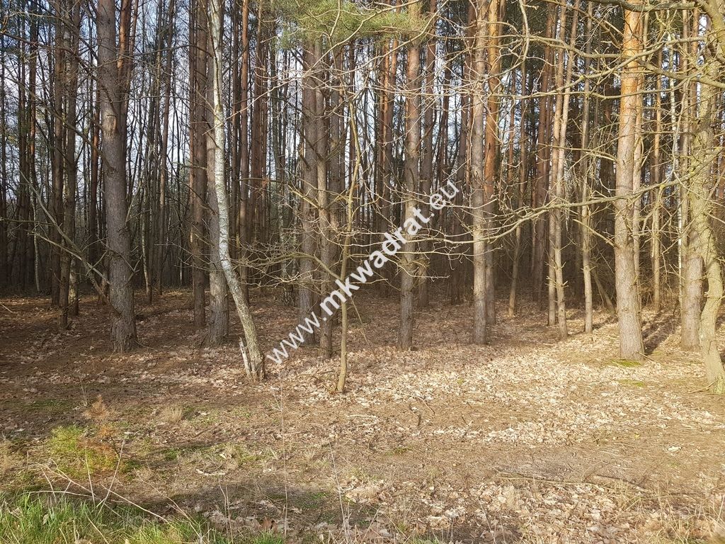 Działka budowlana Bieniewiec. Zdjęcie 9