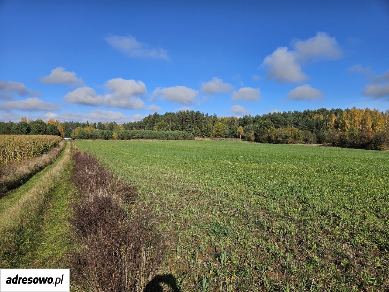 Działka budowlana Pomigacze, ul. Kwiatowa. Zdjęcie 6