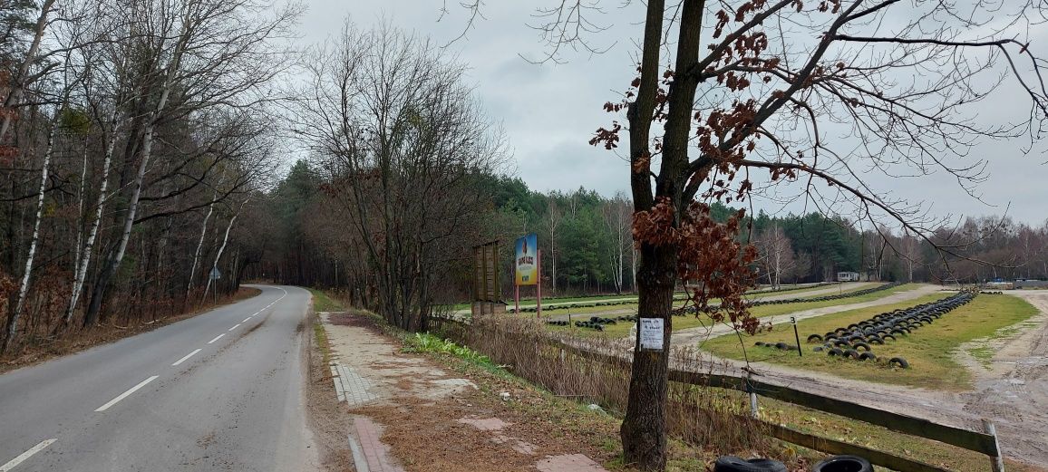 Działka leśna Kruszyna. Zdjęcie 6