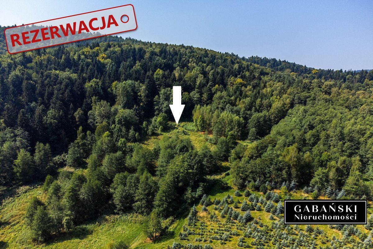 Działka budowlana Słona. Zdjęcie 9