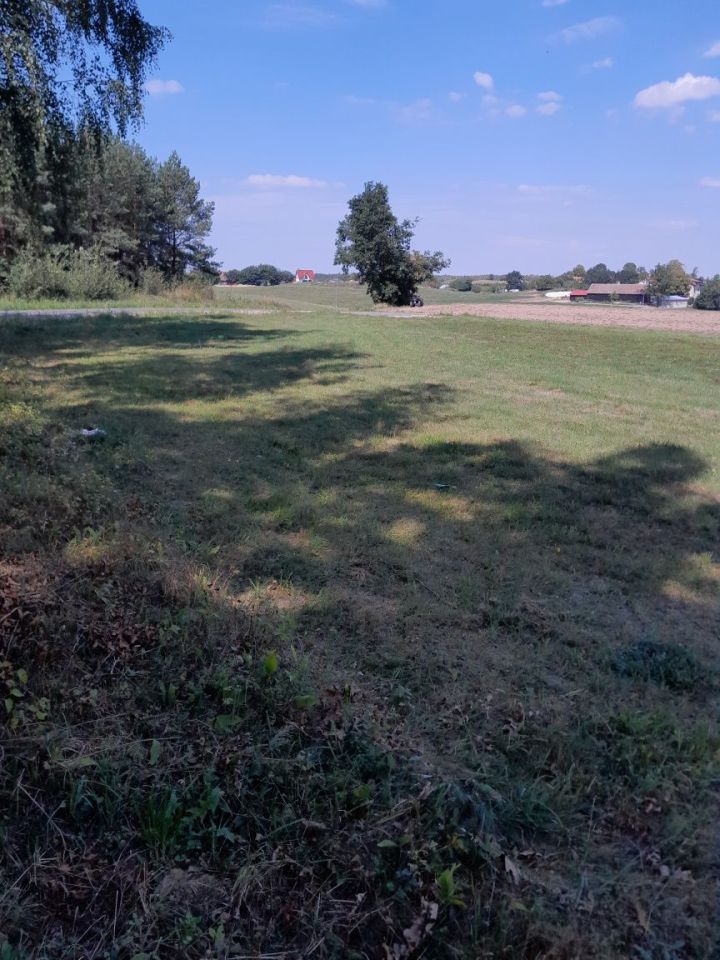 Działka rolna Lubiewo. Zdjęcie 2