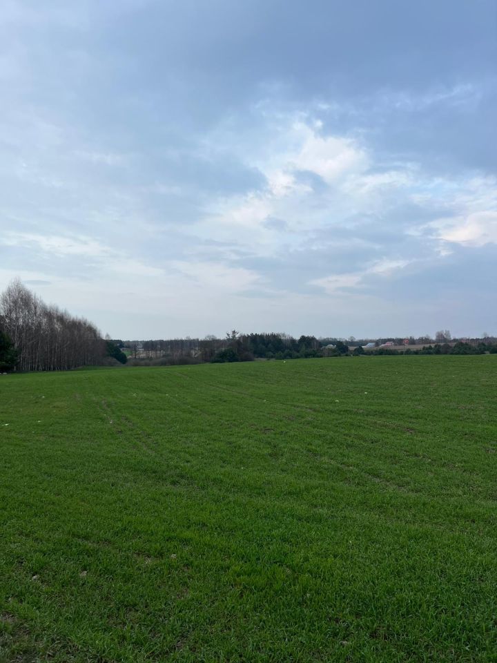 Działka rolno-budowlana Szafarnia. Zdjęcie 2