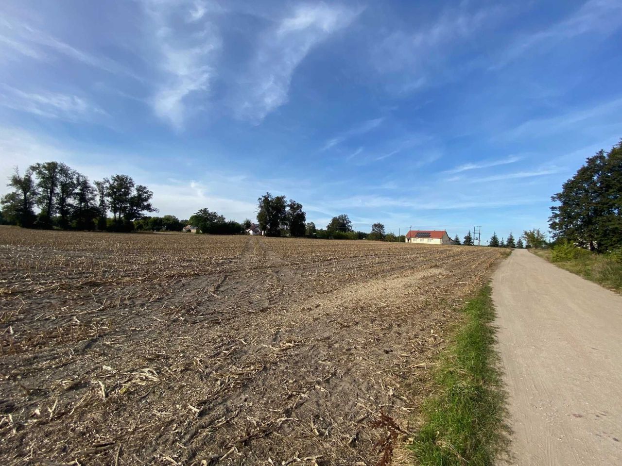 Działka budowlana Krajkowo. Zdjęcie 7