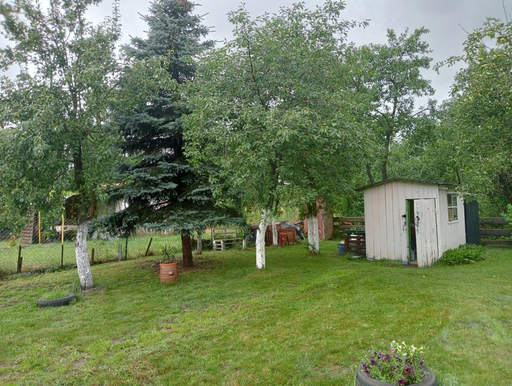 Działka rod Gorzów Wielkopolski, ul. Marcina Kasprzaka. Zdjęcie 5