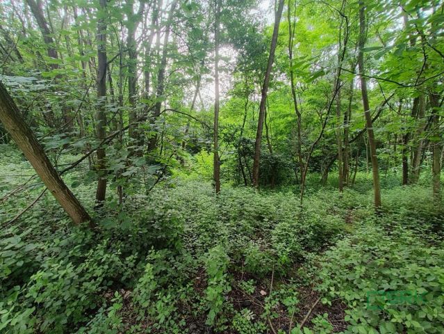 Działka inna Pszów, ul. Ignacego Łukasiewicza. Zdjęcie 4