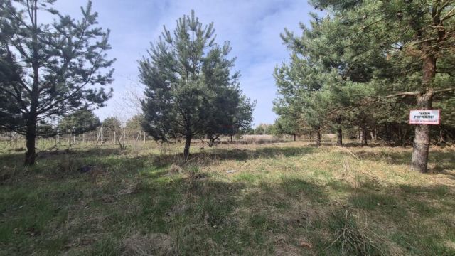 Działka budowlana Dobiesz. Zdjęcie 4