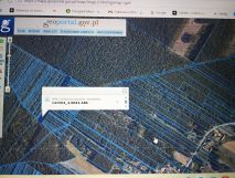 Działka leśna Zaorze, Działka leśna. Zdjęcie 1