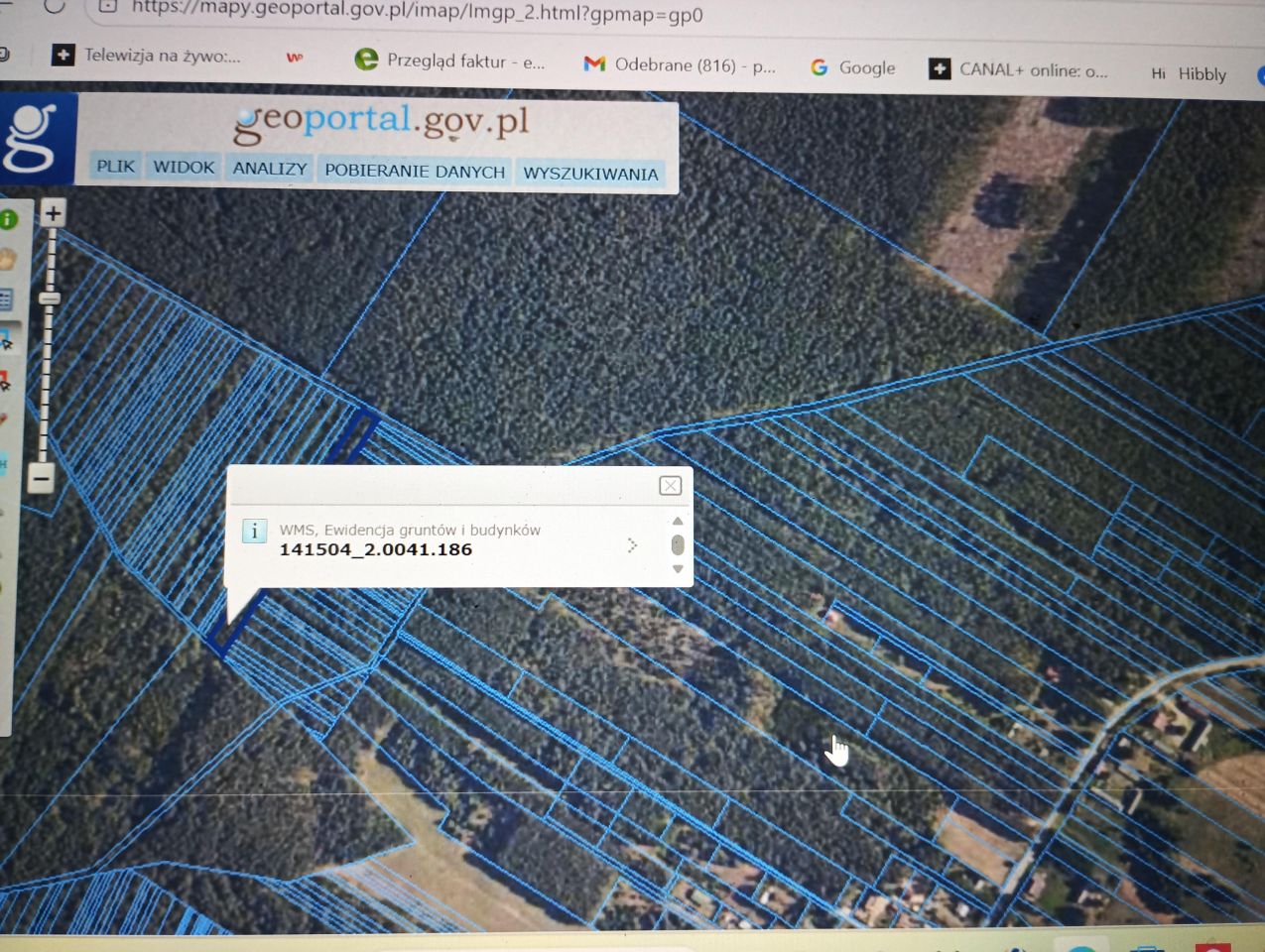 Działka leśna Zaorze, Działka leśna. Zdjęcie 2