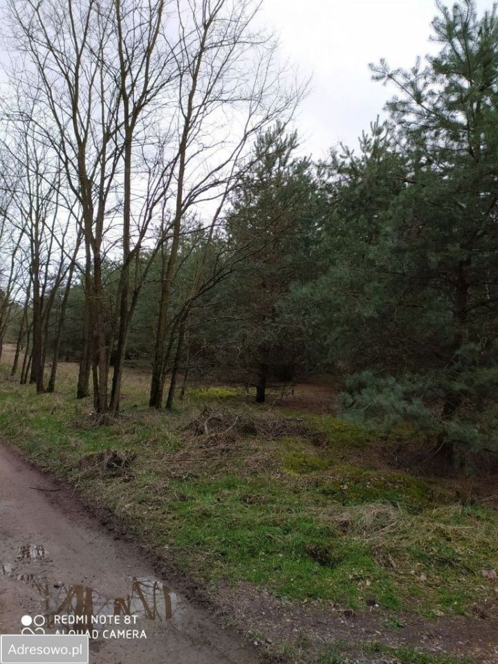 Działka siedliskowa Poręba. Zdjęcie 3