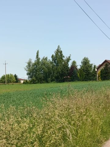 Działka budowlana Rudzica. Zdjęcie 1