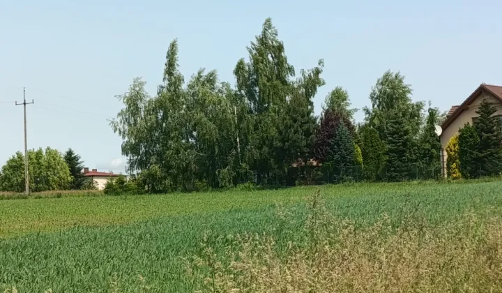 Działka budowlana Rudzica