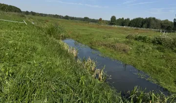 Działka na sprzedaż bez pośredników ul. Wrony Łacha - Więcej