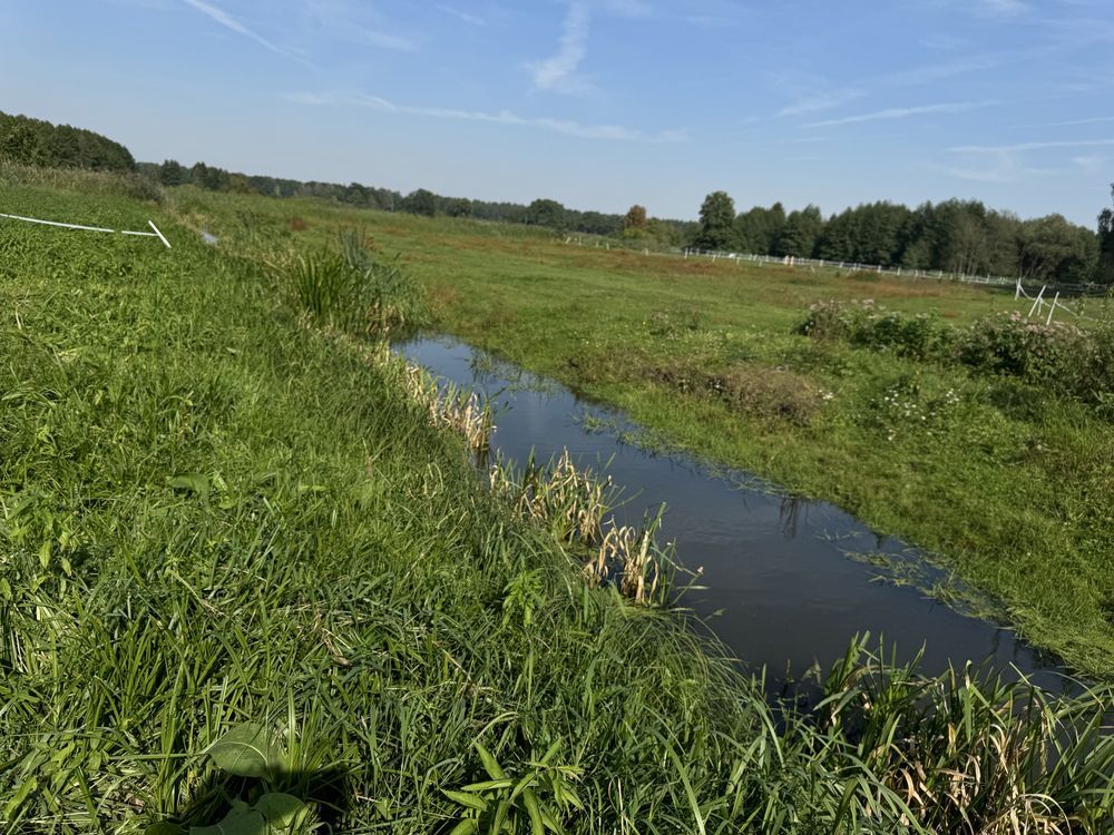 Działka budowlana Gąsiorowo. Zdjęcie 1