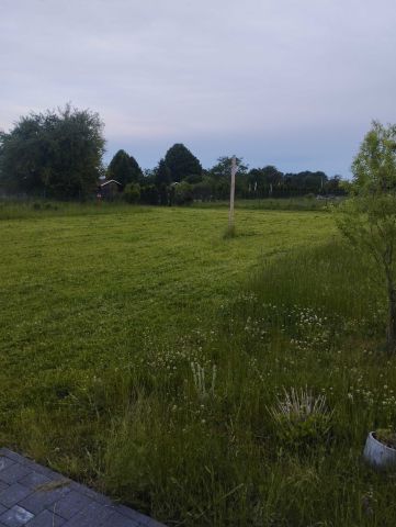 Działka rolno-budowlana Kierzkowo. Zdjęcie 1