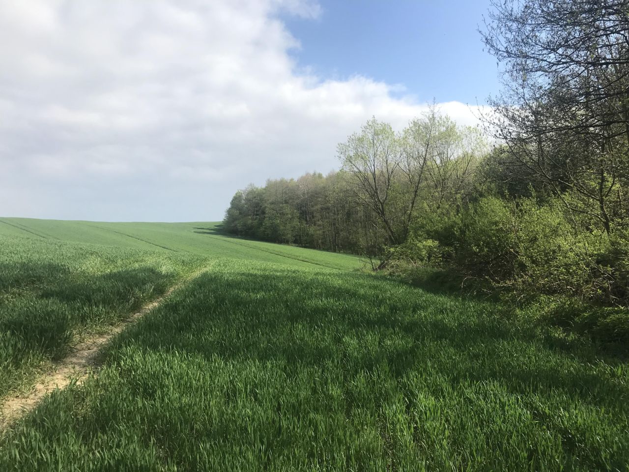 Działka rolna Rzeszów Przybyszówka. Zdjęcie 4