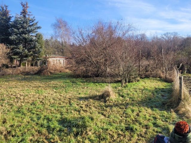 Działka rod Czempiń. Zdjęcie 1