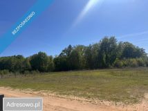 Działka budowlana Skórzyn. Zdjęcie 2