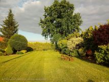 Działka rolna Aleksandria. Zdjęcie 1