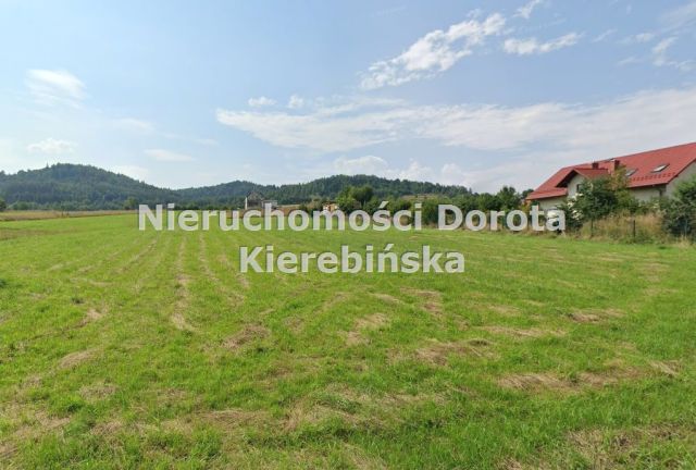 Działka siedliskowa Trzebinia. Zdjęcie 1
