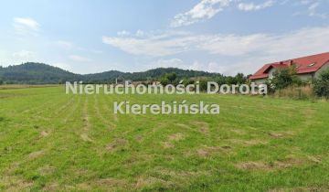 Działka siedliskowa Trzebinia