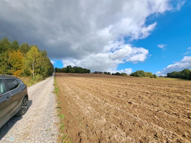 Działka siedliskowa Łagów. Zdjęcie 3