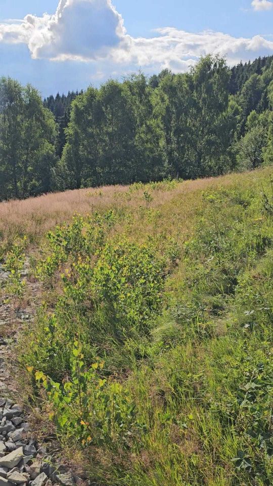 Działka budowlana Kocierz Rychwałdzki. Zdjęcie 6