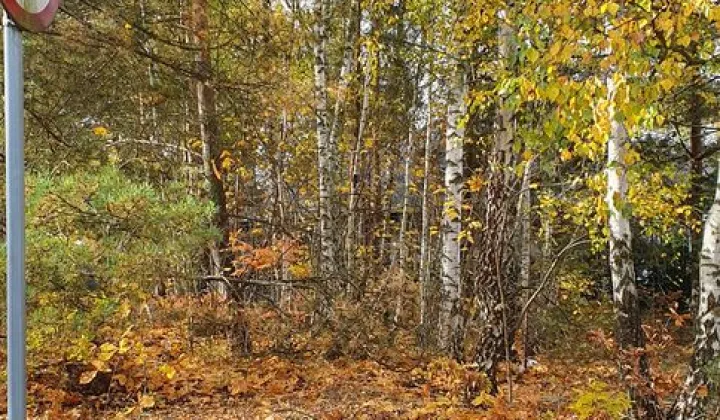 Działka inwestycyjna Warszawa Wesoła, ul. Jana Kasprowicza