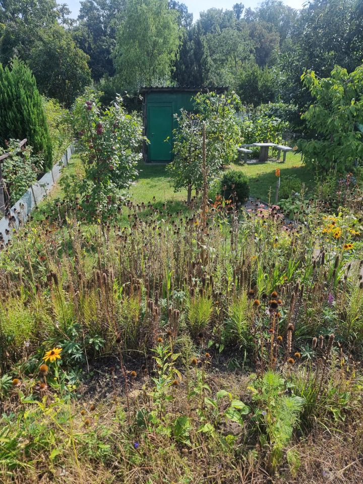 Działka rod Świdnica, ul. Tenisowa. Zdjęcie 6