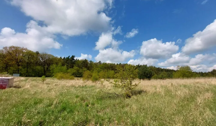 Działka budowlana Wagowo, Babiego lata