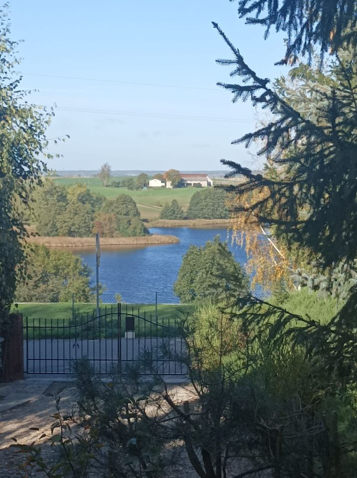 Działka budowlana Szczuka. Zdjęcie 8